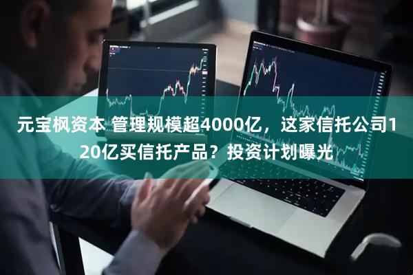 元宝枫资本 管理规模超4000亿，这家信托公司120亿买信托产品？投资计划曝光
